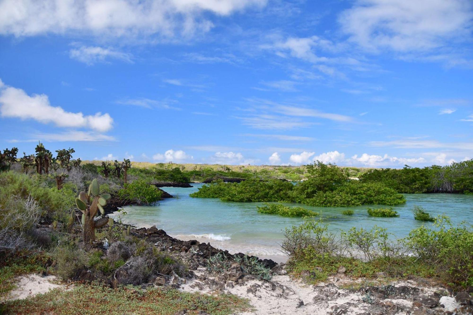 Royal Palm Galapagos, Curio Collection Hotel By Hilton Bellavista  Buitenkant foto