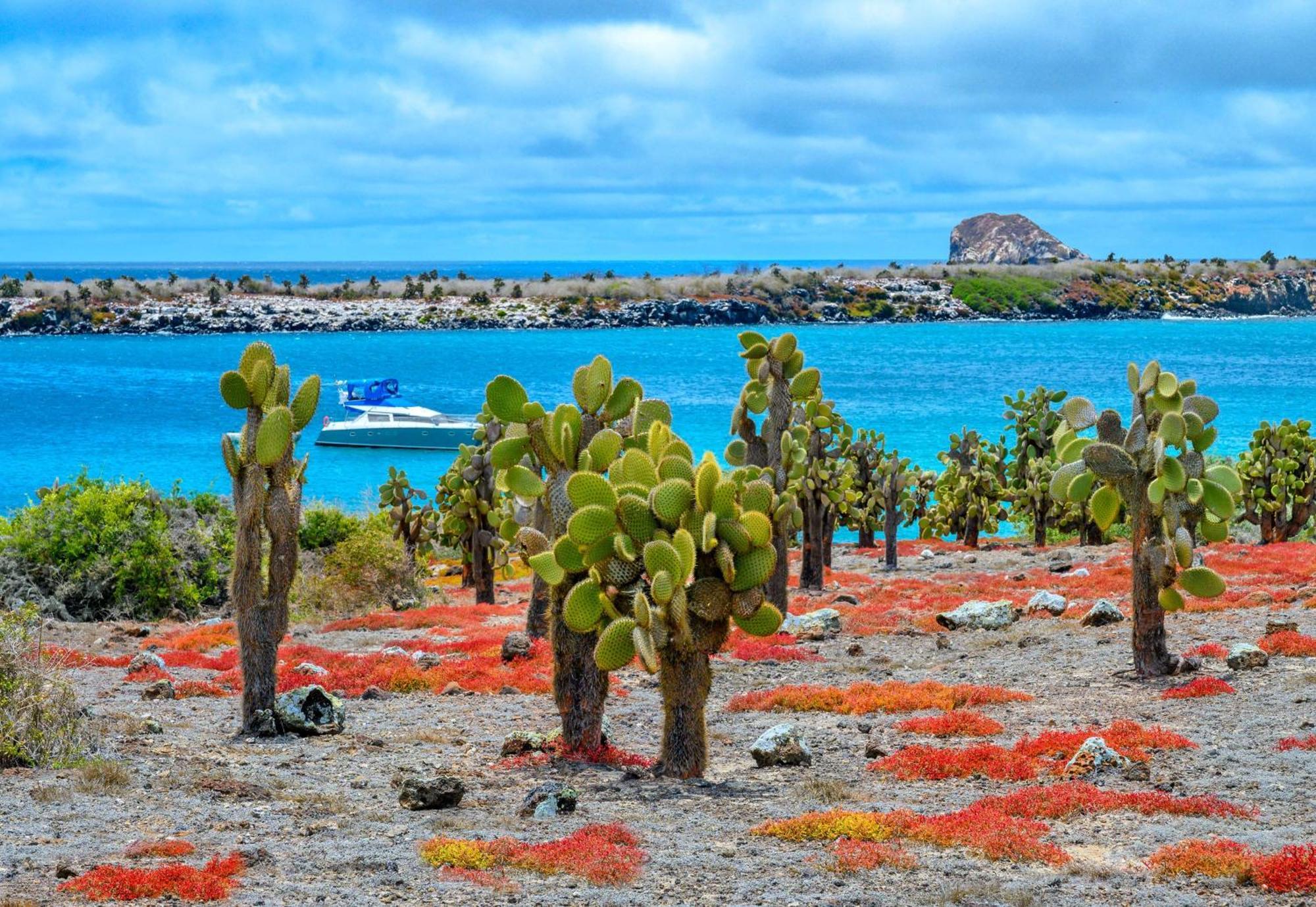 Royal Palm Galapagos, Curio Collection Hotel By Hilton Bellavista  Buitenkant foto
